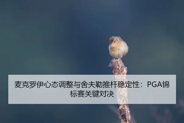mai-ke-luo-yi-xin-tai-tiao-zheng-yu-she-fu-lei-tui-gan-wen-ding-xing-jin-biao-sai-guan-jian-dui-jue-2-141.jpg