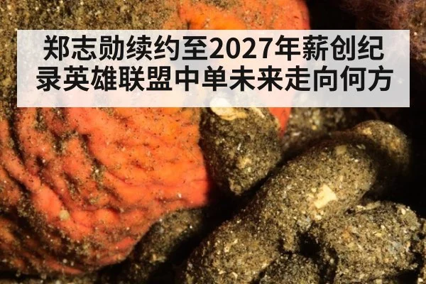 郑志勋续约至2027年薪创纪录英雄联盟中单未来走向何方